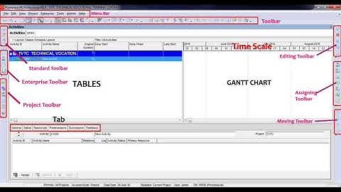 1  Primavera User Interface
