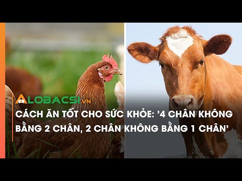 Cách ăn tốt cho sức khỏe: 4 chân không bằng 2 chân, 2 chân không bằng 1 chân