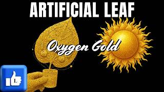 Solar-Powered ‘Artificial Leaf’: The Future of Clean Energy