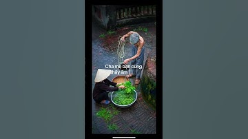 Đừng để khi giàu có ,mới báo Hiếu cho cha mẹ#cuocsong #shortvideo