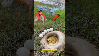 Survival Skills: SMART idea and USEFUL #bushcraft #camping #outdoors #survival