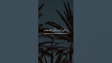تلاوة جميلة جداً من سورة مريم بصوت القارئ عبد الرحمن مسعد 🤎 #islamicstatus #islamicshort