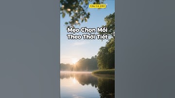 🎣 Mẹo Chọn Mồi Theo Thời Tiết – Trời Nắng, Trời Mưa, Mồi Nào Hiệu Quả Nhất