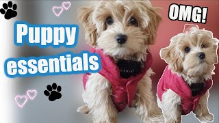 Things to Buy your New Puppy! 🐶 PUPPY ESSENTIALS! by Kai the Maltipoo 5,655 views 3 years ago 2 minutes, 15 seconds