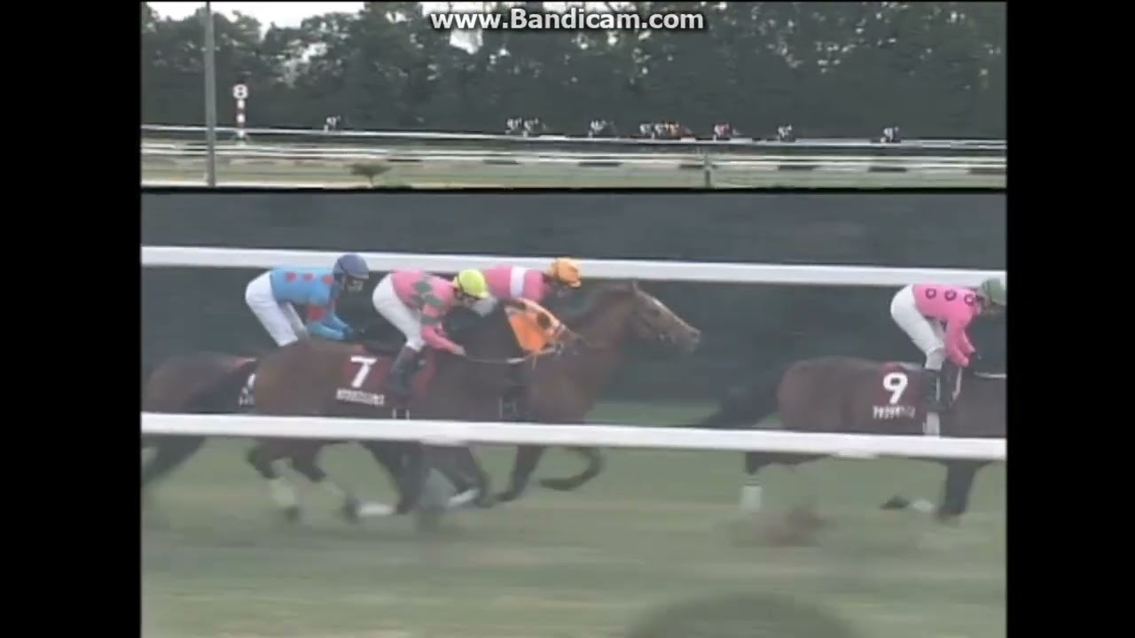 【期限切れ単勝馬券】　新馬競走　アサクサキングス 期限切れ単勝馬券】 新馬競走 アサクサキングス 美術品・アンティーク