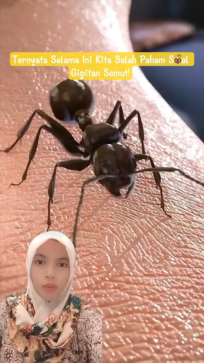 Rahasia di Balik Gigitan Semut yang Bikin Kamu Gatel-Gatel #cute #ants #alam #insects #short #viral