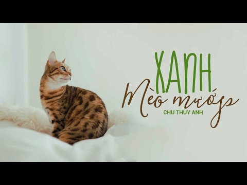 Xanh - Mèo mướp l Chu Thùy Anh l Audiobook VTC Now