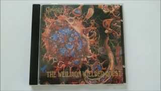 Caducity - Aedrio Leriaon (Interweaving the Power)