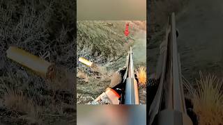 Snel mikken, zuiver schot — de jacht eindigt in stilte. 🐇🎯 #Konijnenjacht #Diepjacht #ZuiverSchot #Veldjacht