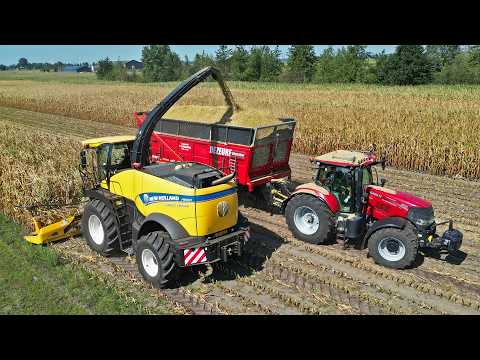 Maize Harvest & Silage 2026 🌽 with a New Holland FR550 | H. Korenberg