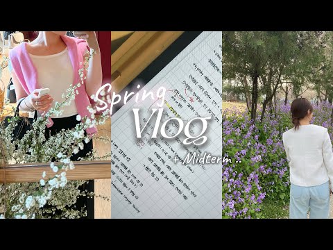 Eng) Vlog | 대학생활을 정리하며 | 졸업 전 마지막 중간고사 | 일상. 겨울부터 봄까지 🍃| 영어과 공부. 일 📝
