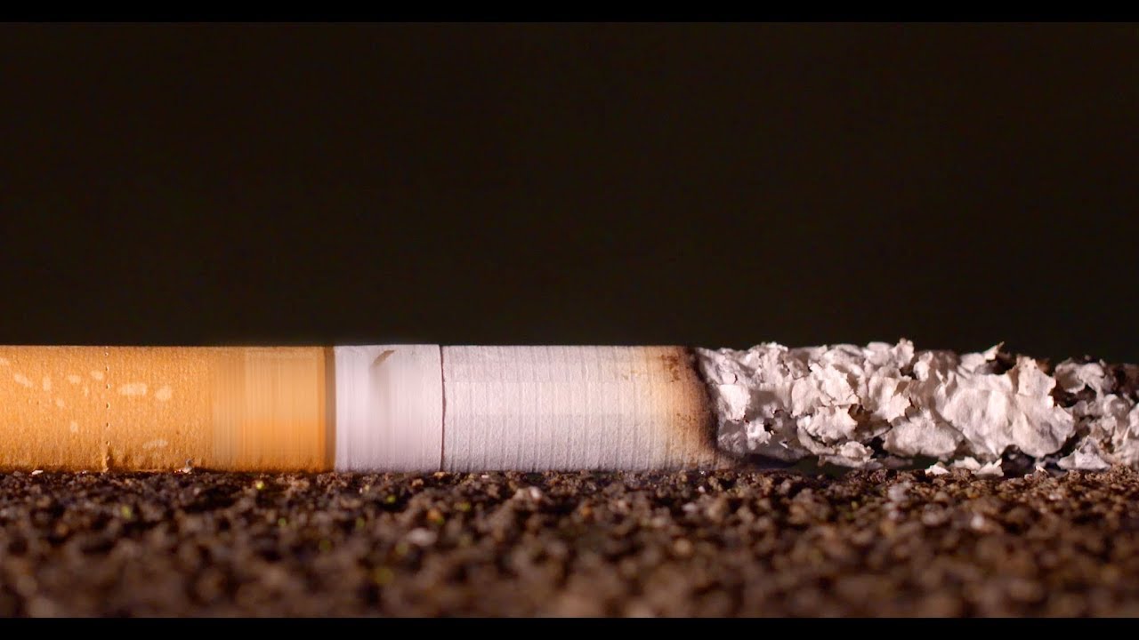 Timelapse of a Burning Cigarette - Free Stock Video Footage