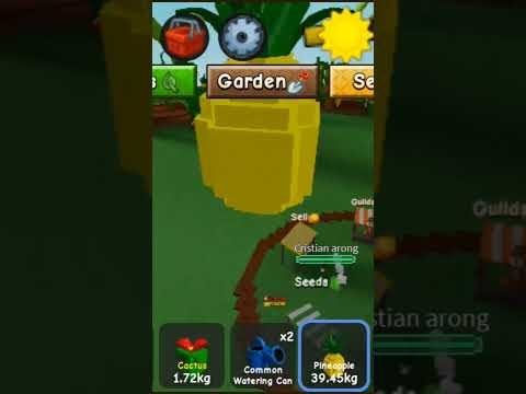 #SpongeBob #growagarden2