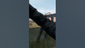 How to get loot fast in DayZ