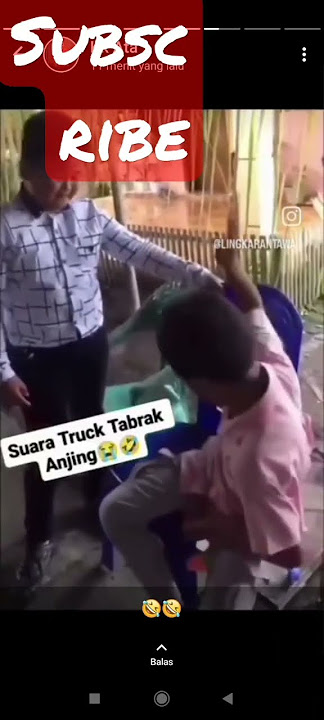 ngakak anak anak tirukan suara mobil tabrak anjing