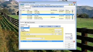EasyFarm Tutorial: Entering Transactions
