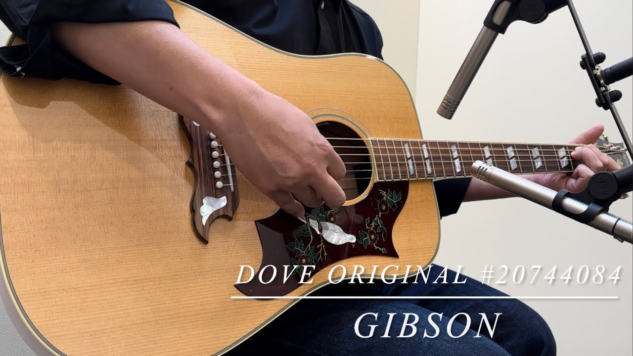 Gibson Dove Original #20744084【長期展示品の為、大特価!!】 - YouTube