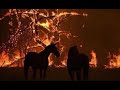 الشيخ أبو عمر الكويتي
