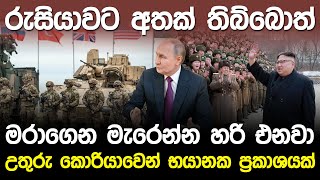 රුසියාවට අතක් තිබ්බොත්.? යුරෝපයේ අවසානය. | North Korea Warning to Nato |
