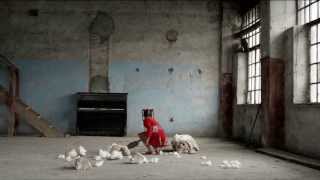 Stop Vivisection