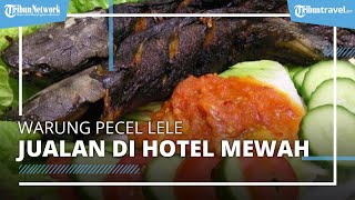 Download Lagu Kuliner Viral di TikTok, Warung Pecel Lele Ini Berjualan di Hotel Mewah Download Lagu Kuliner Viral di TikTok, Warung Pecel Lele Ini Berjualan di Hotel Mewah