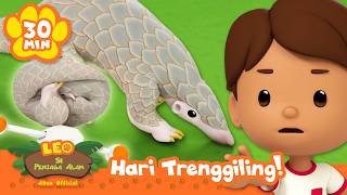 Hewan Ini Bisa Menggulung Menjadi Bola?! 🤯 | Hari PANGOLIN Sedunia | Leo Si Penjaga Alam