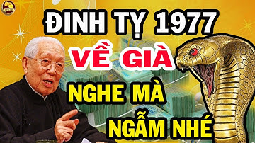 Chấn động lời tiên tri chính xác, đinh tỵ 1977 Cả đời tích phúc về già hốt trọn lộc trời, cực giàu
