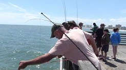 Catching Fish at Jacksonville Beach Pier, Jacksonville, FL 