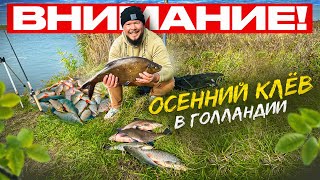 ОСТОРОЖНО! КЛЁВЫЙ ВЫЕЗД НА РЫБАЛКУ В ГОЛЛАНДИЮ, МНОГО РЫБЫ НА БЫВАЕТ
