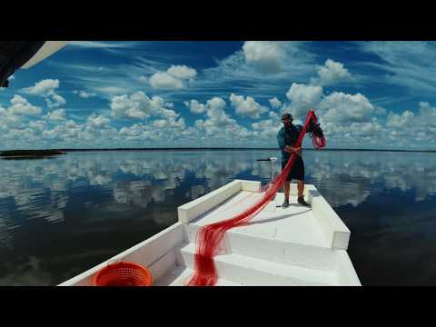 Throwing a GIANT Cast Net for Invasive Tilapia!!!