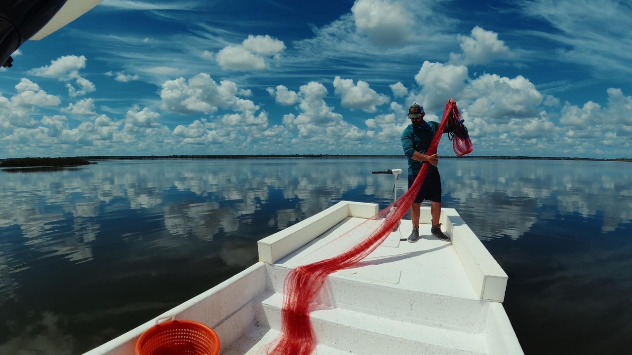 commercial fishing net companies in tampa fl The Fly Shop's Big Fish Nets OH YES! Fish, Grits and