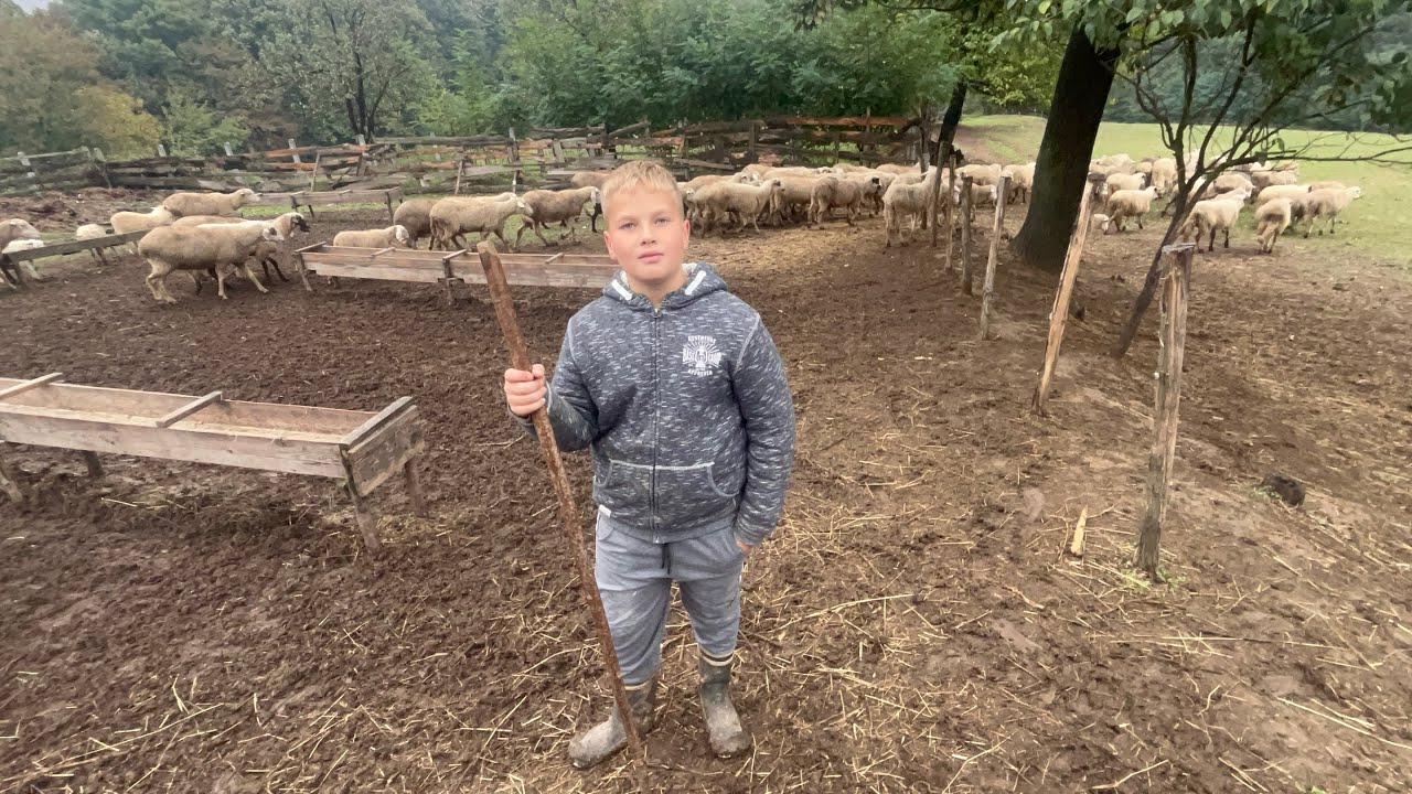 Dječaku kome je san da se jednog dana vrati iz Švicarske u Bosnu i otvori Farmu 