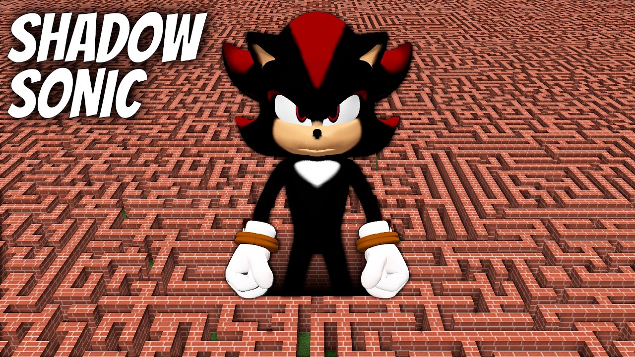 I found a SHADOW SONIC MAZE in Minecraft ! What's INSIDE the BIGGEST ...