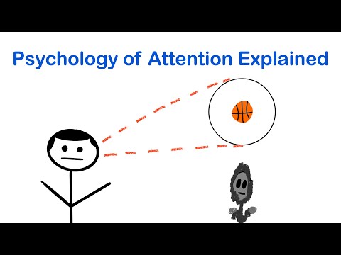 Psychology of Attention Explained | Selective Attention, Inattentional Blindness, & Change Blindness