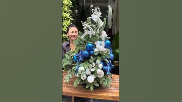 CÁCH CHÂM NƯỚC CHO CÂY THÔNG NOEL GHÉP CÀNH