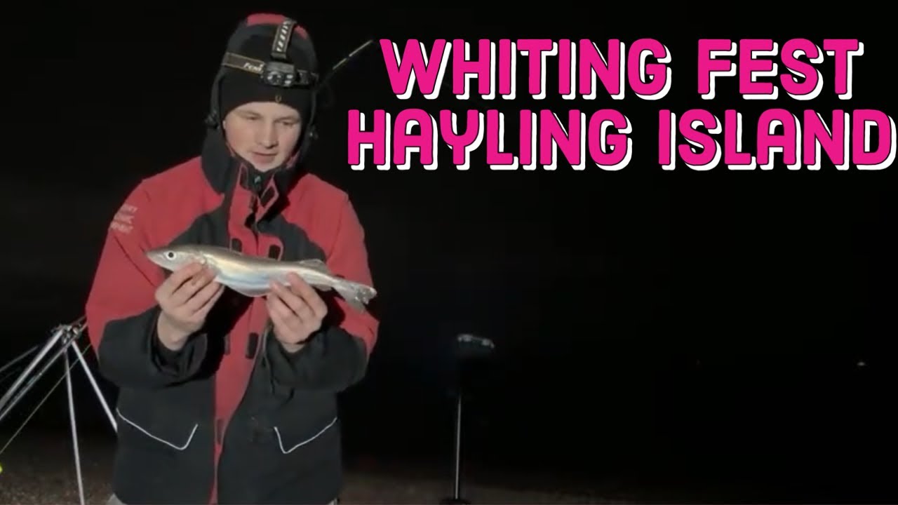 🔴 Sea Fishing Live Hayling Island YouTube