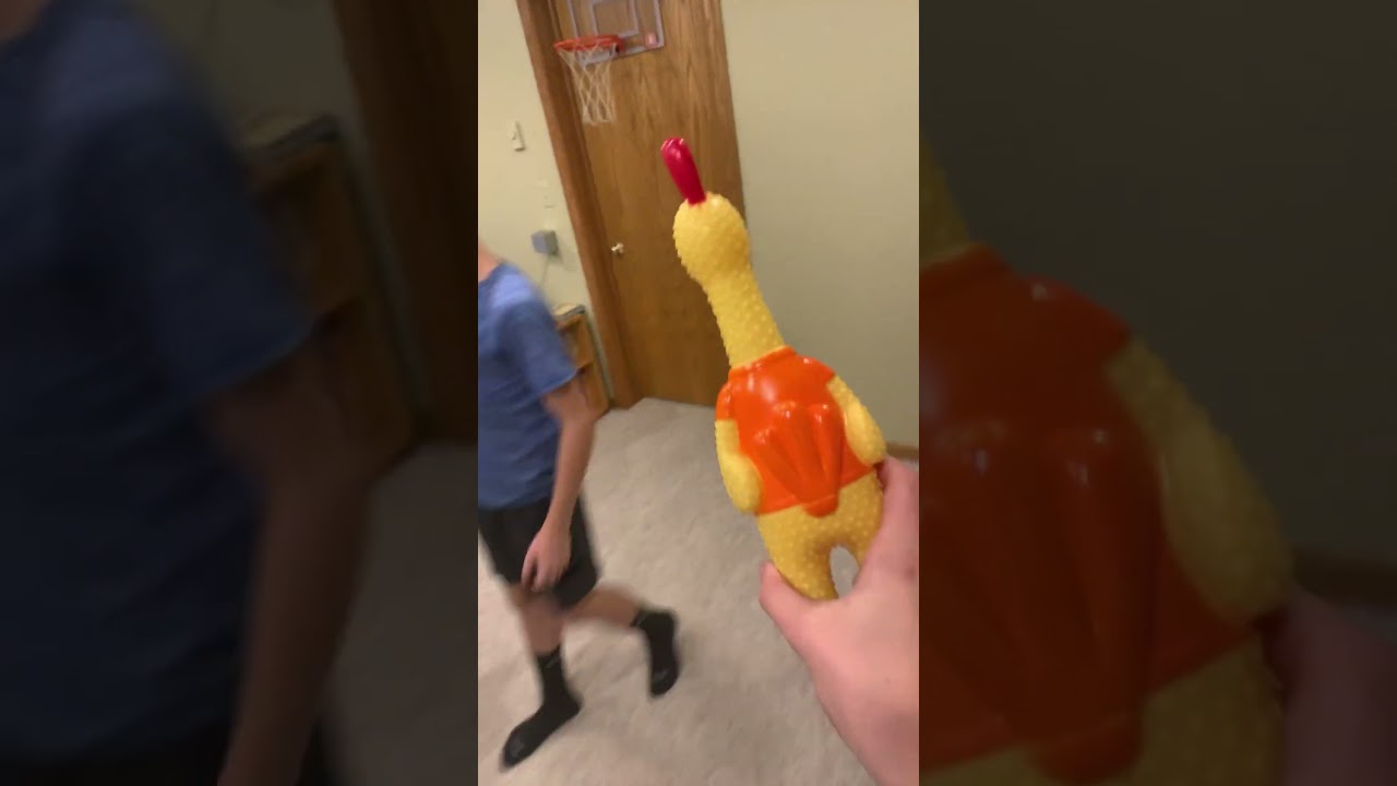 Screamin chicken plays basketball