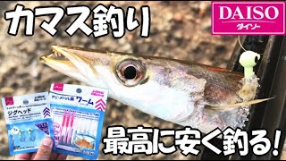 カマスをダイソールアーで釣る方法〜ジグヘッド＋ワーム編〜【初心者必見！】