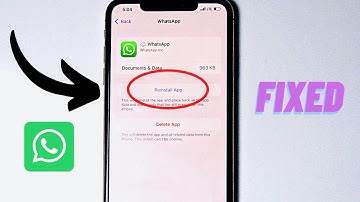 How to Fix WhatsApp Keeps Crashing on iPhone! [iOS 15]