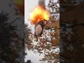 GIANT Bald Faced Hornets Nest  Vs Black Powder Cannon strapped to Backhoe