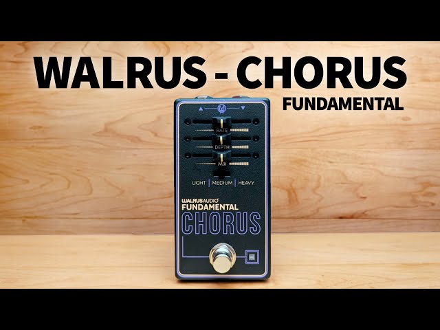 Walrus - Fundamental Chorus - YouTube