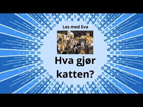 Video: Hva er HESI-katten?