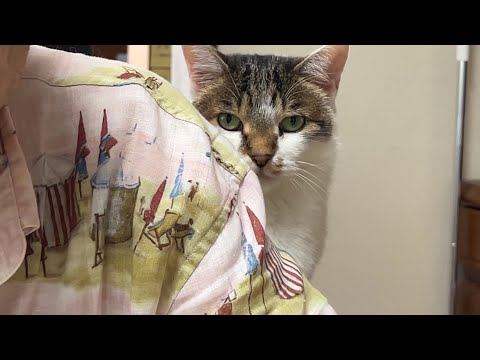 こっち見てるwww