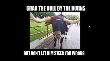 Creating a Meme in PaintShop Pro