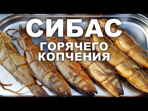 Рыба Сибас 👍 Горячего копчения! Пошаговый рецепт. Секреты и нюансы!