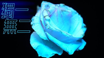 【PILOTCINE ATOMCUBE RX7 】