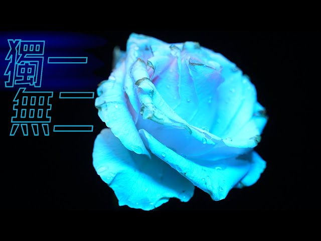 TripleAn 好時光 - 產品廣告 - 【PILOTCINE ATOMCUBE RX7 】 TripleAn 好時光 - 產品廣告 - 【PILOTCINE ATOMCUBE RX7 】