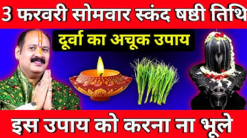 3 फरवरी सोमवार स्कंद षष्ठी तिथि के दिन दूर्वा का अचूक उपाय वाला उपाय जरूर करें || Pradeep Ji Mishra