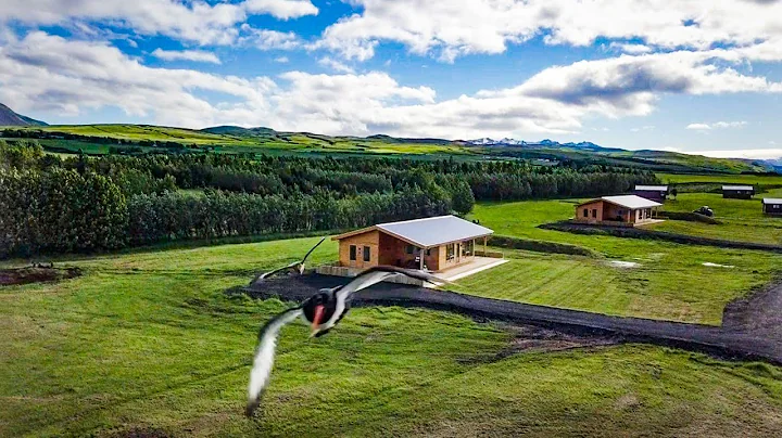 Golden Circle Iceland 🇮🇸 2021 vlog - Thingvellir, Geysir & Gullfoss in 4 minutes