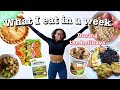 What I Eat In A Week as a  Vegan College Student During the Holidays!- Balanced and Indulgent.